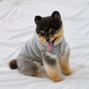 [3차] Cozy knit hoodie (gray)